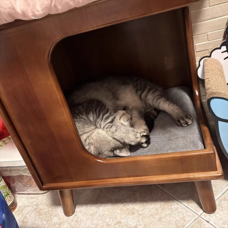 Small Indoor Fir Wood Cabinet, - Sustainable Living House 评论和价格