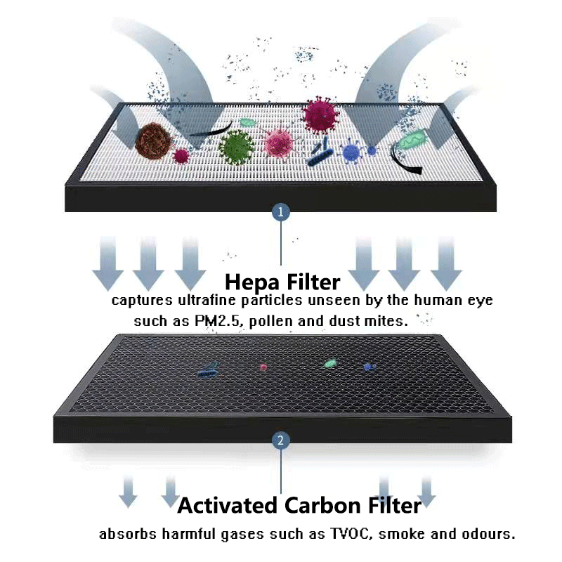 Replacement HEPA Filter and Ac - Coway Air Purifier Storm 评论和价格